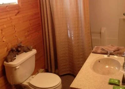 Deer Dwelling Lodge 4