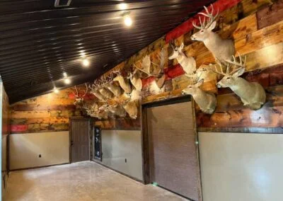 Dog Kennel Facility 3