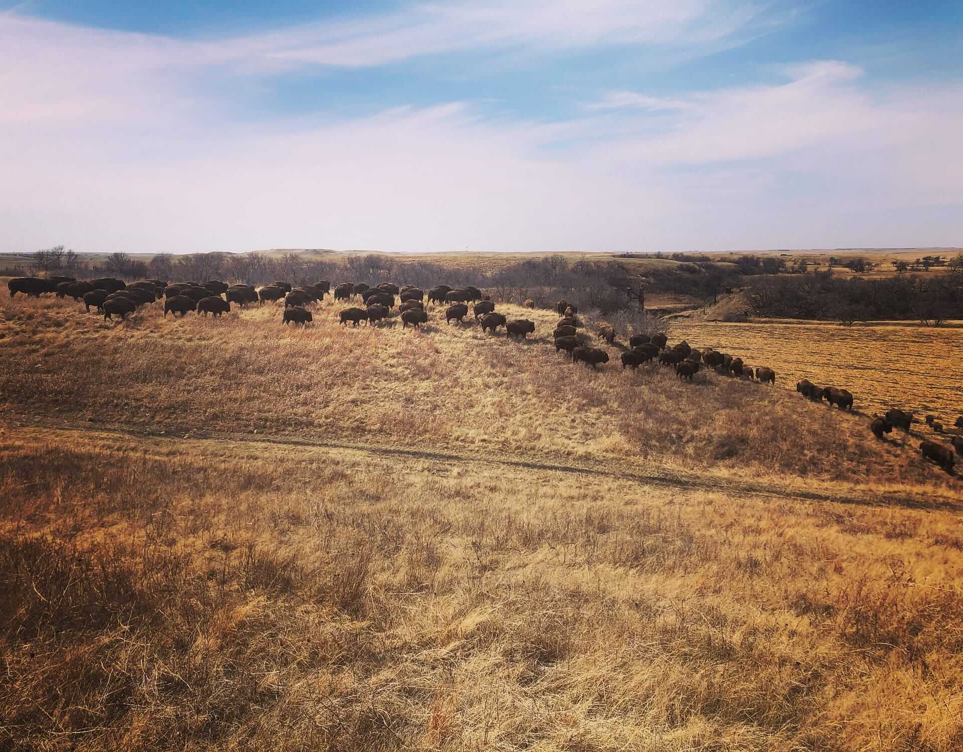 Rolling Plains Adventures — photo 2