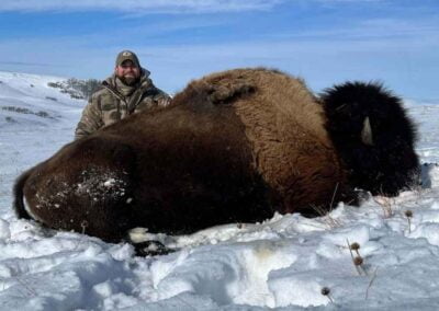 buffalo hunting nd 3