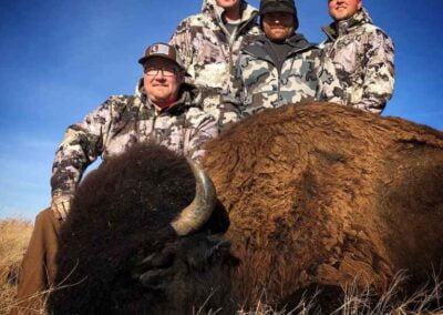 buffalo hunting nd 6