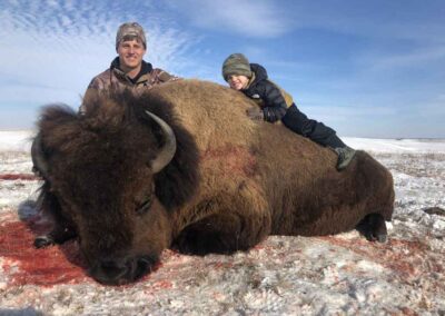 buffalo hunting nd 8