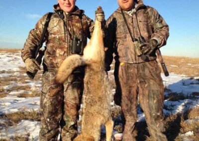 coyoete hunting north dakota 1