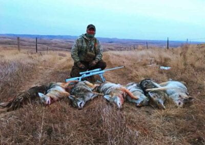 coyoete hunting north dakota 2