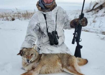 coyoete hunting north dakota 3