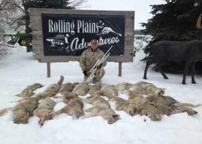 coyoete hunting north dakota 6