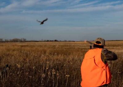 pheasant hunting 4